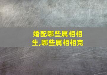 婚配哪些属相相生,哪些属相相克