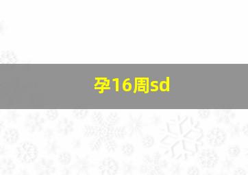 孕16周sd