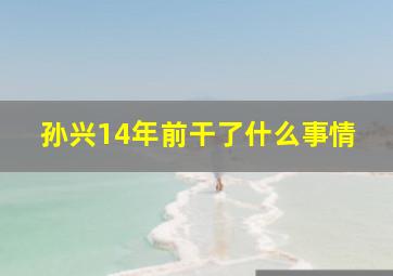 孙兴14年前干了什么事情