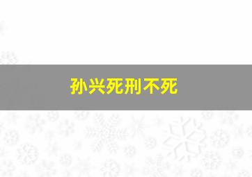 孙兴死刑不死