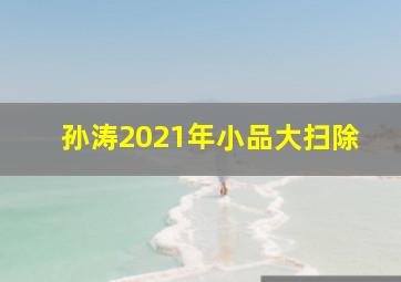 孙涛2021年小品大扫除