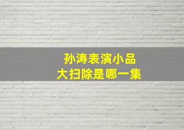 孙涛表演小品大扫除是哪一集