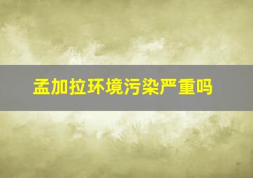 孟加拉环境污染严重吗