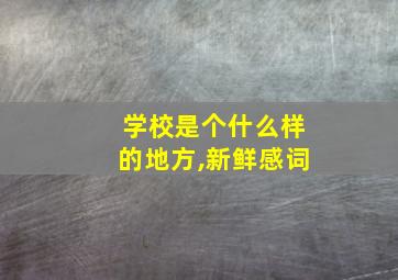 学校是个什么样的地方,新鲜感词