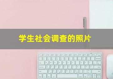 学生社会调查的照片