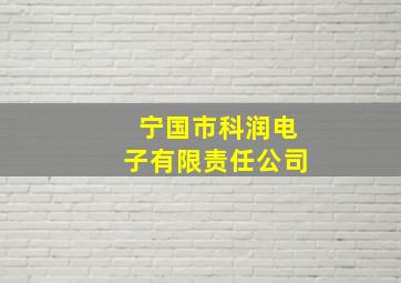 宁国市科润电子有限责任公司