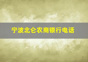 宁波北仑农商银行电话