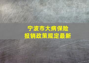 宁波市大病保险报销政策规定最新