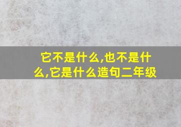 它不是什么,也不是什么,它是什么造句二年级