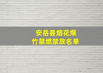 安岳县烟花爆竹禁燃禁放名单