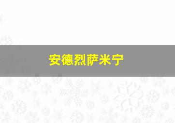 安德烈萨米宁