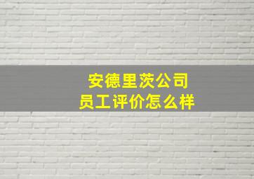 安德里茨公司员工评价怎么样