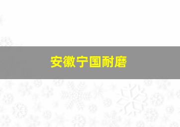 安徽宁国耐磨