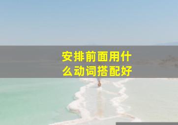 安排前面用什么动词搭配好