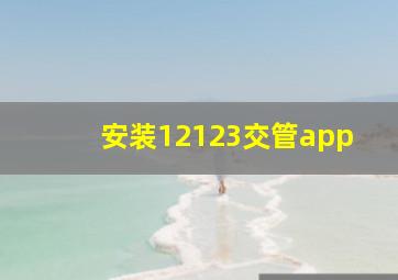 安装12123交管app