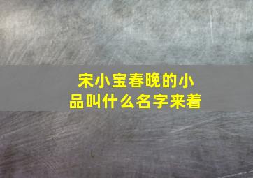 宋小宝春晚的小品叫什么名字来着