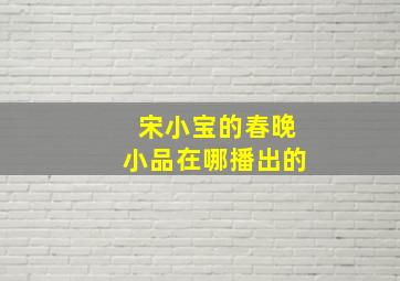 宋小宝的春晚小品在哪播出的