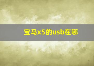 宝马x5的usb在哪