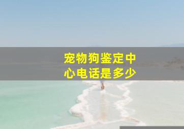 宠物狗鉴定中心电话是多少