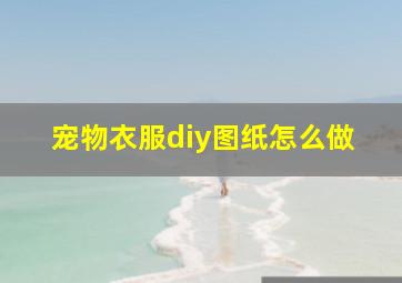 宠物衣服diy图纸怎么做