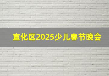 宣化区2025少儿春节晚会