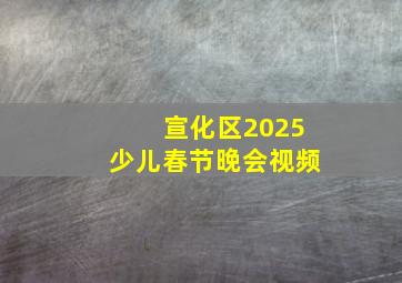 宣化区2025少儿春节晚会视频