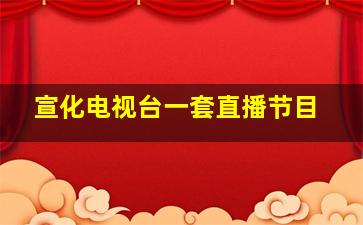 宣化电视台一套直播节目