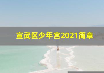 宣武区少年宫2021简章