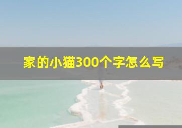 家的小猫300个字怎么写