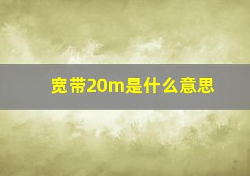 宽带20m是什么意思