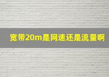 宽带20m是网速还是流量啊