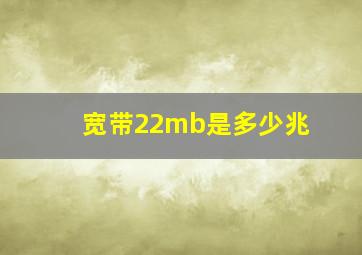 宽带22mb是多少兆