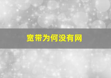 宽带为何没有网