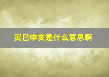 寅巳申亥是什么意思啊