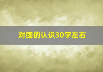 对团的认识30字左右