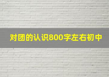 对团的认识800字左右初中