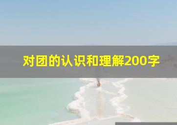 对团的认识和理解200字