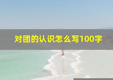 对团的认识怎么写100字