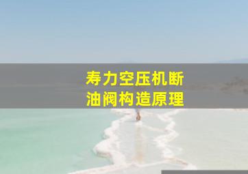 寿力空压机断油阀构造原理