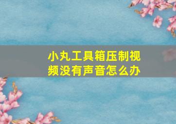 小丸工具箱压制视频没有声音怎么办