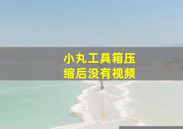 小丸工具箱压缩后没有视频