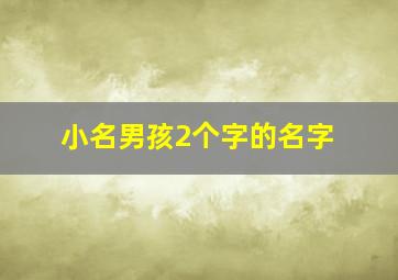 小名男孩2个字的名字