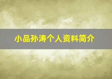 小品孙涛个人资料简介