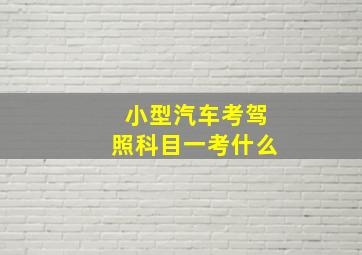 小型汽车考驾照科目一考什么