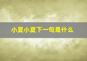 小夏小夏下一句是什么