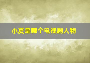 小夏是哪个电视剧人物