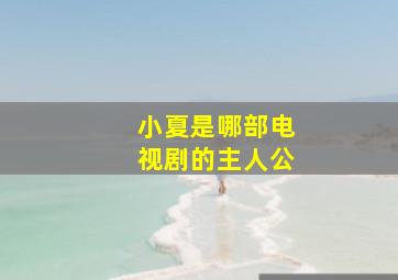 小夏是哪部电视剧的主人公