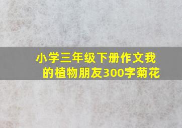 小学三年级下册作文我的植物朋友300字菊花