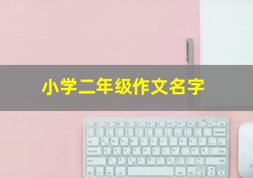 小学二年级作文名字