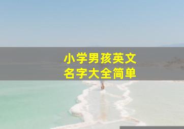 小学男孩英文名字大全简单